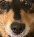 georgeStare georgeStare