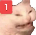 angrycatping