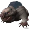 GiantMole GiantMole