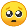 emojipleadhoud