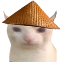 cnCat