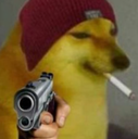 dogegun Discord emoji
