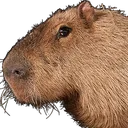 capybara