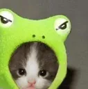 frogcattopright Discord Emoji