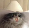 CriHaw