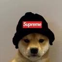 SupremeDoge