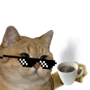 catcoffee