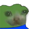 PeepoSadCat