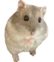 Harminda
