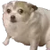 ScaredDoggo