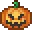 pumkin