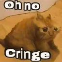 oh_no_cringe