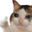 cat_thumbsup