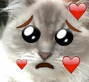gadsecute