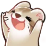 FerretYay FerretYay