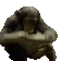 talyapu_talyapu