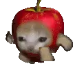 run