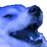 Bluedog Discord Emoji