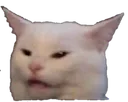 Catmeme catmeme Discord Emoji