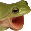 froggers