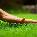 touchgrass