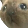 oh_no oh_no