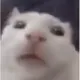 shensho