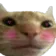 catblush catblush