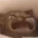 WAAAAA