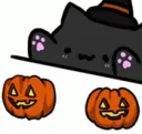 bongohalloween3