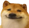 Dogsmile