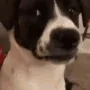 Uhh