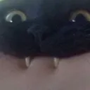 chomp