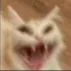 oi