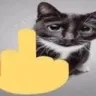 middlefingercatter