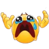 WHYYYYY