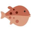 mirrored_blowfish