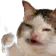Catthumbsdown_