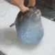ball_check