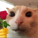 snc_tangemhoa snc_tangemhoa