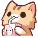 cattomilk