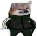 PP_Fachero