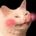 catblush