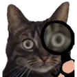 rderPogcat rderPogcat