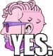 ChaDamo_Yes