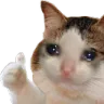 okmeow
