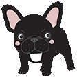 AP2USwetzFrenchBulldogLook Discord emoji