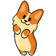 AP2USwetzCorgiPlead Discord emoji