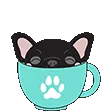 AP2USwetzFrenchBulldogPeek