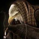 eagleswag